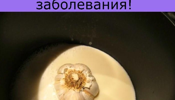 chesnok v moloke lechit astmu pnevmoniju tuberkulez serdechnye problemy bessonnicu artrit kashel i mnogie drugie zabolevaniya