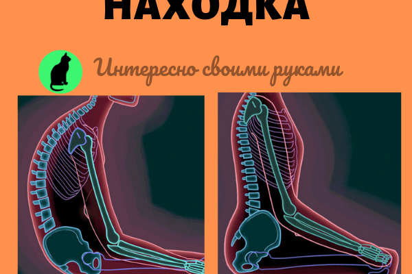 eti uprazhneniya prosto nahodka dlya rabotajushhih sidya