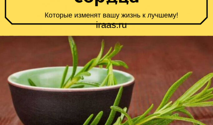 samaya moshhnaya trava dlya mozgovogo krovoobrashheniya i serdca